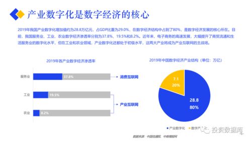 2020產(chǎn)業(yè)互聯(lián)網(wǎng)發(fā)展報(bào)告 網(wǎng)絡(luò)開發(fā)的機(jī)遇與挑戰(zhàn)